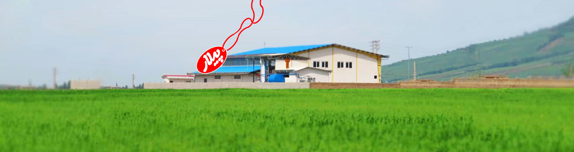 پیلار تولید کننده چیپس میوه، دمنوش میوه، لواشک میوه